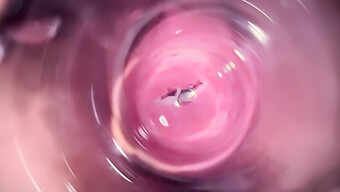 Close-Up Of Mia'S Vagina With Internal Camera For 18+